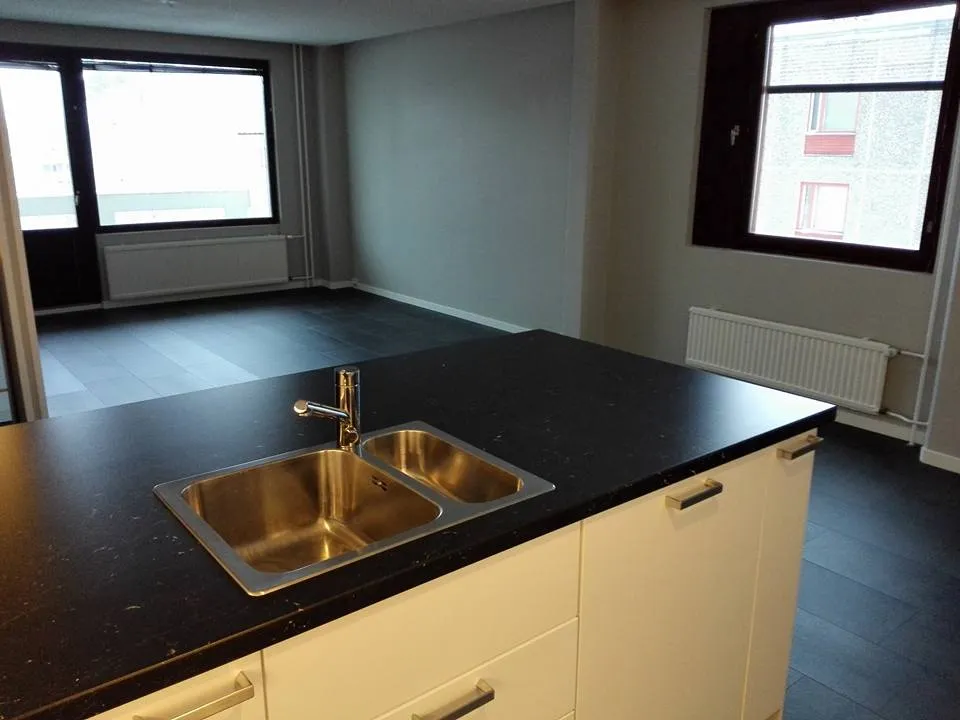 Valoisassa huoneessa on tumma lattia, vaaleat seinät ja keittiösaareke, jossa on teräksinen pesuallas ja tumma työtaso. Ikkunoista näkyy ulos.